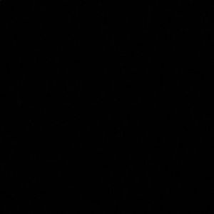 Meet your Posher, Lyndsey